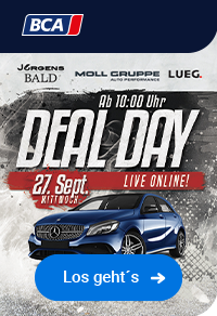 Deal Day Moll
